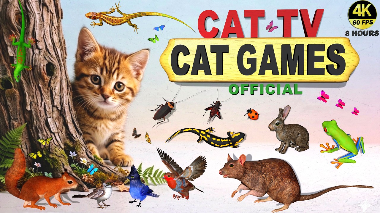 CAT TV 🐱 MOUSE MAZE & LIZARD CHASE | BIRDS & BUGS CAT GAMES 🐦 | VIDEOS FOR CATS TO WATCH (4K 60FPS)