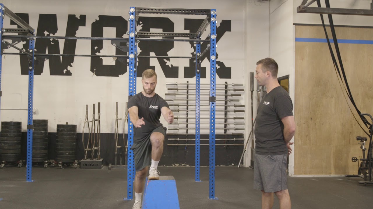 Single Leg Stepdown
