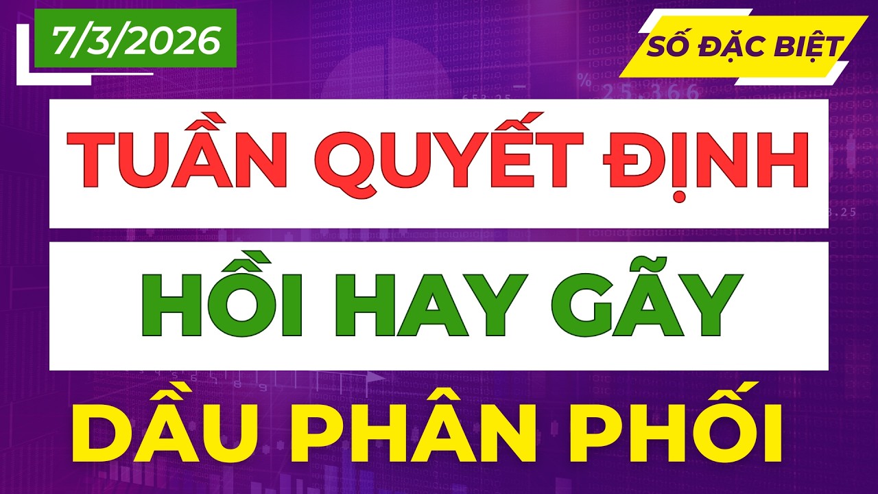Chiến Lược Tuần Sau: Thị Trường Downtrend Hay Hồi Mạnh? Hành Động Nào Tối Ưu?