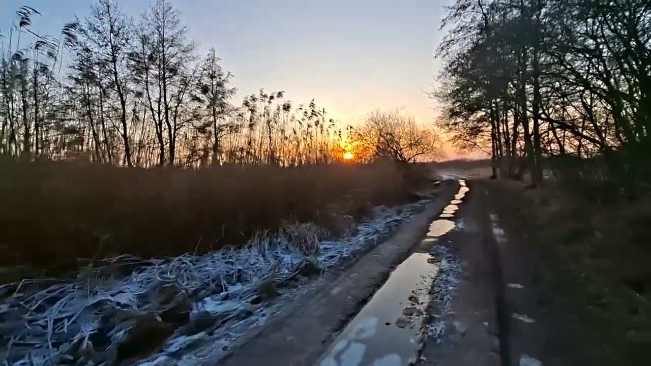 Natur  - Gedanken  &  Verbundenheit 