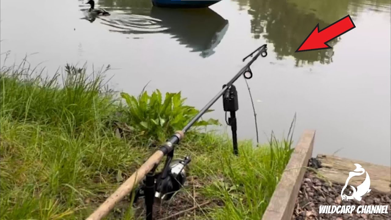 Carp Run COMPILATION 2022! PART 78!