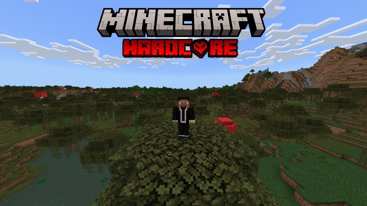 Playing Minecraft with friends