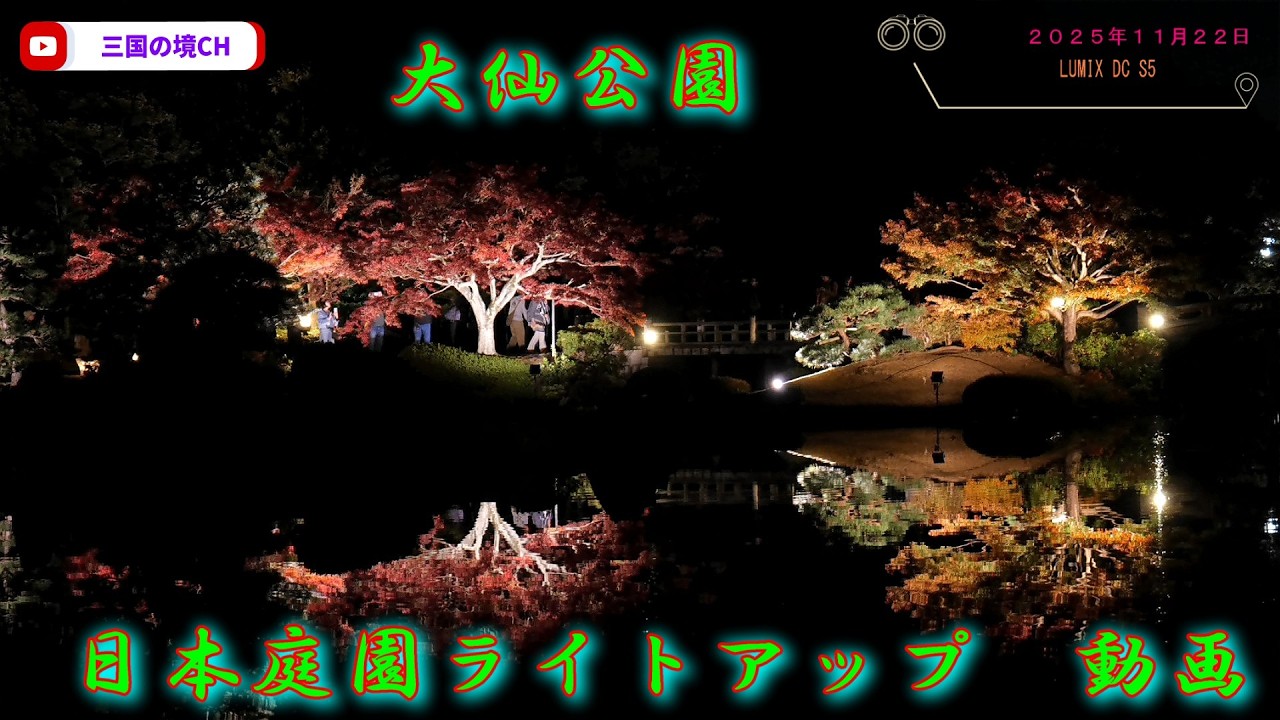 大仙公園 日本庭園ライトアップ　動画（２０２５年１１月２２日）