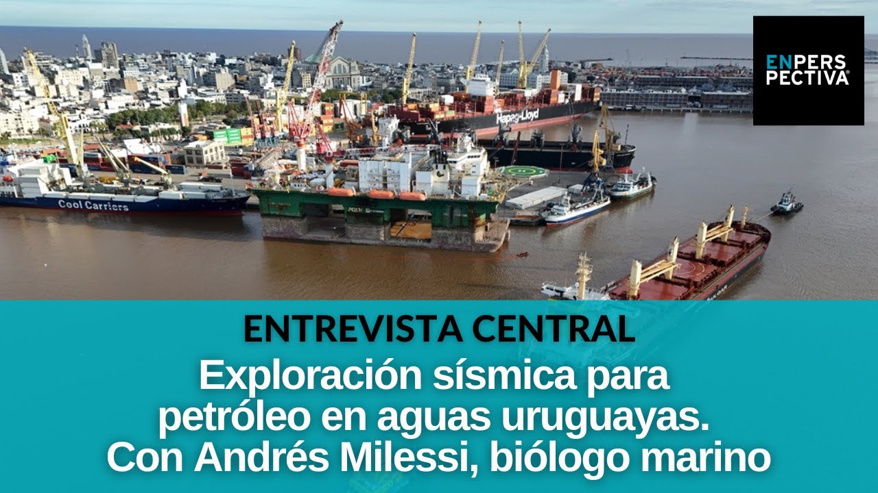 Prospección sísmica 3D: “Vamos a hacer pelota nuestro ecosistema marino y quizás no haya petróleo”