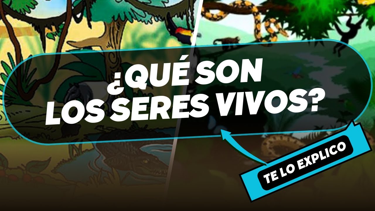 ¿Qué Son los Seres Vivos? Explicación Facil