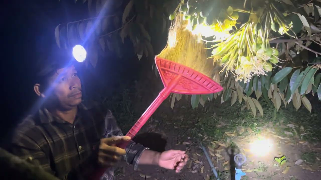 យប់នេះទៅបេាសផ្កាធុរេន Tonight I'm going to the durian plantation.@SokleangFamilylife