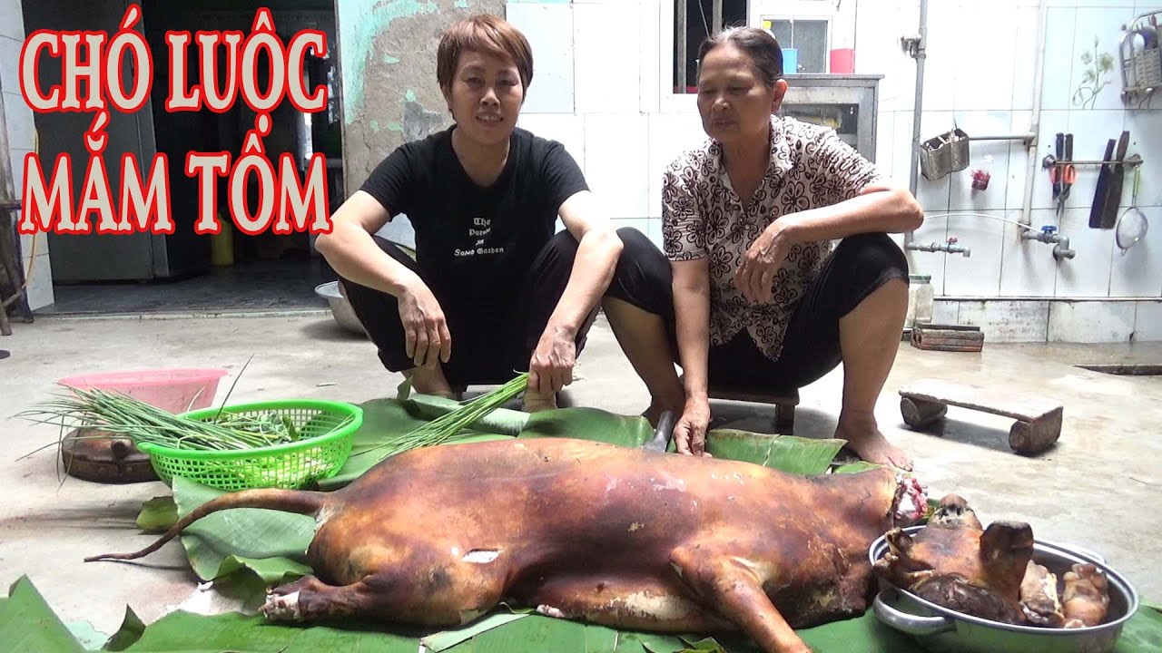 Thịt Chó 29 kg, Liên hoan kỉ niệm 38 năm chiến đấu tại CampuChia