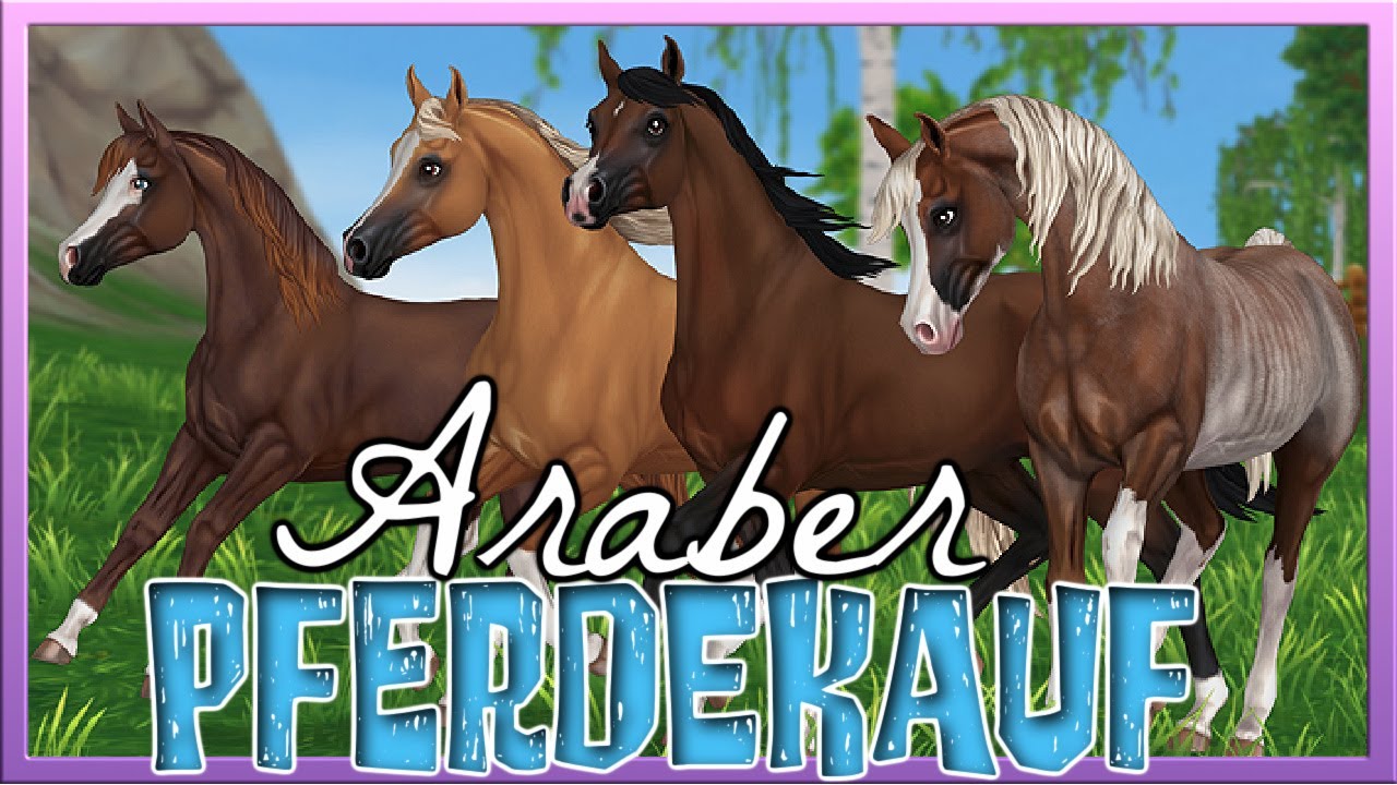 Wir KAUFEN die **neuen** ARABER 🐴 (ja mehrere 😁💸) Star Stable Pferdekauf [SSO]