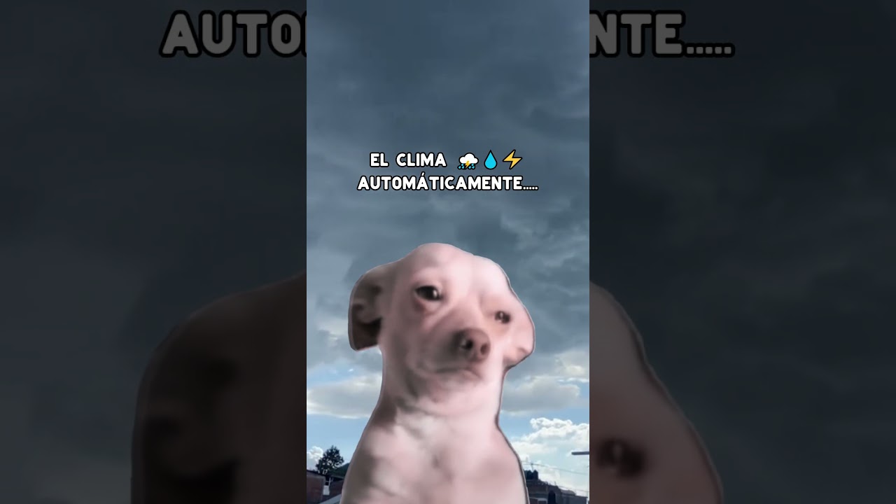 Servicio de lavandería por encargo
