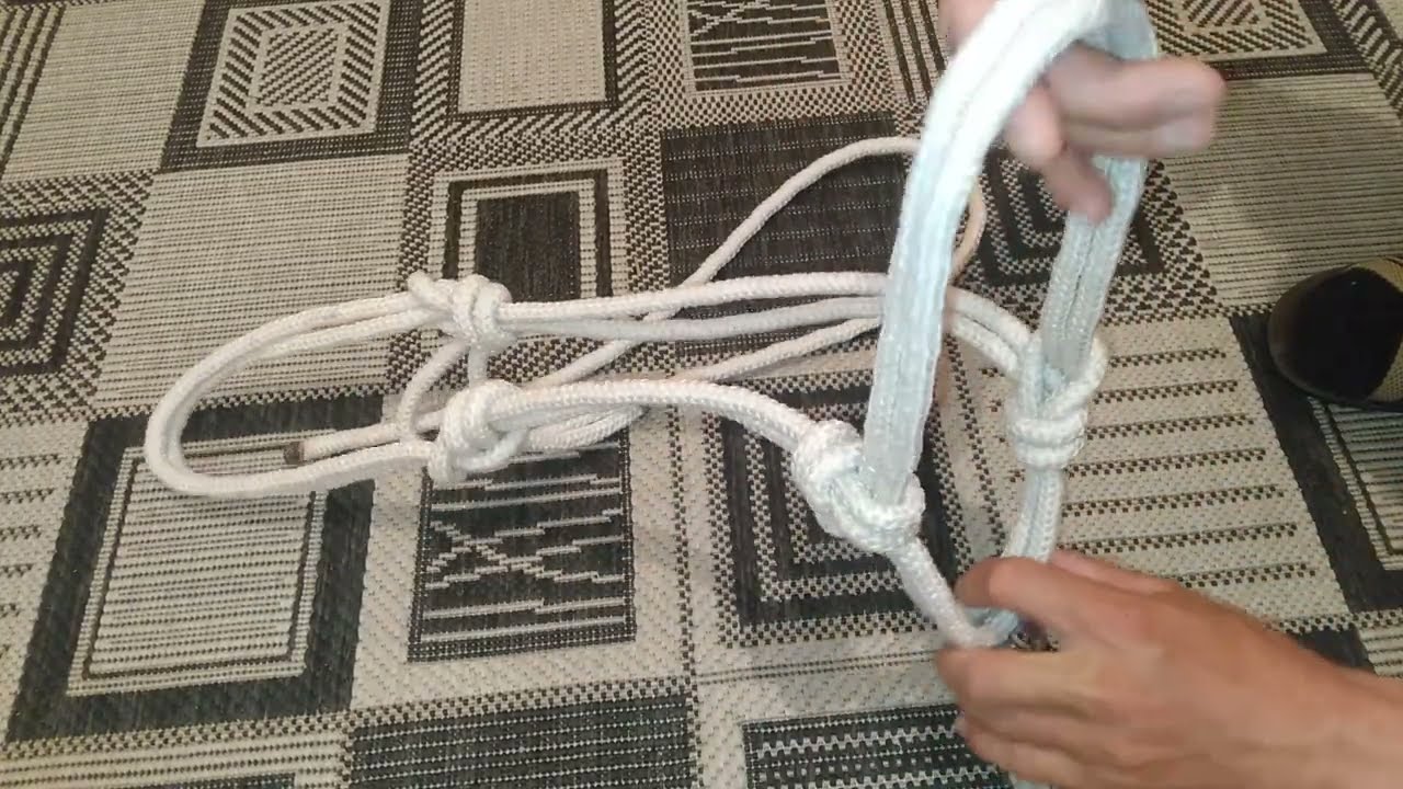 Ноқта түю жылқыларға