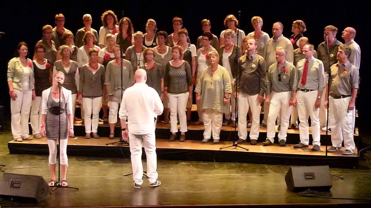 Amusing Hengelo 2013. Het koor Multiple Voice Aalten song 3. Rabotheater Hengelo.