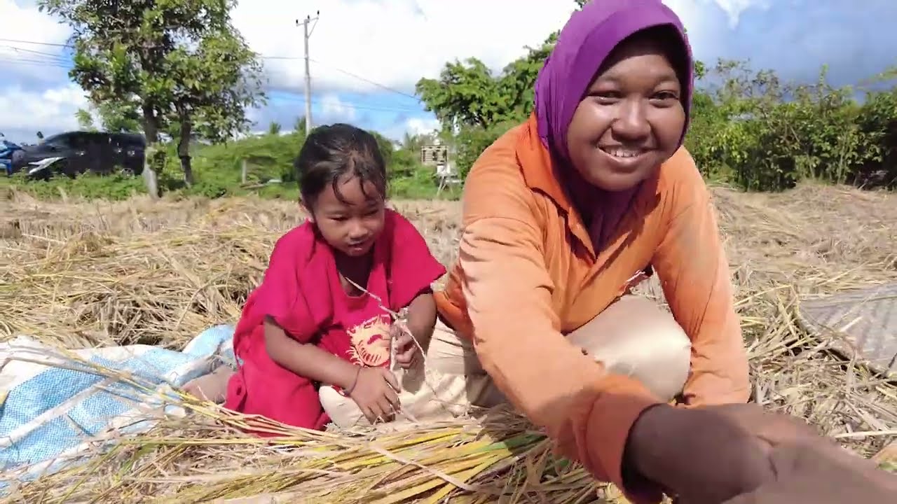Ibu dan Anak Mencari Sisa Padi Untuk Menyambung Hidup