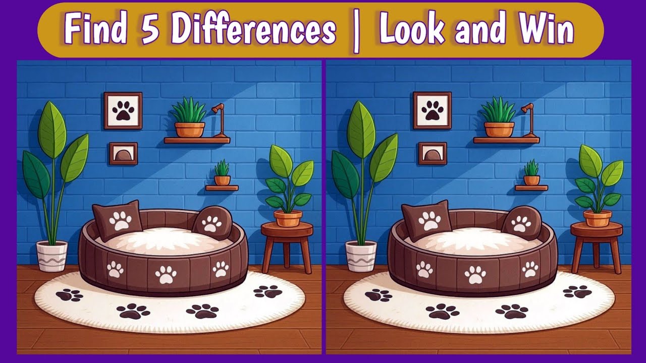 Spot the Difference | Find 5 Hidden Differences@LookandWin