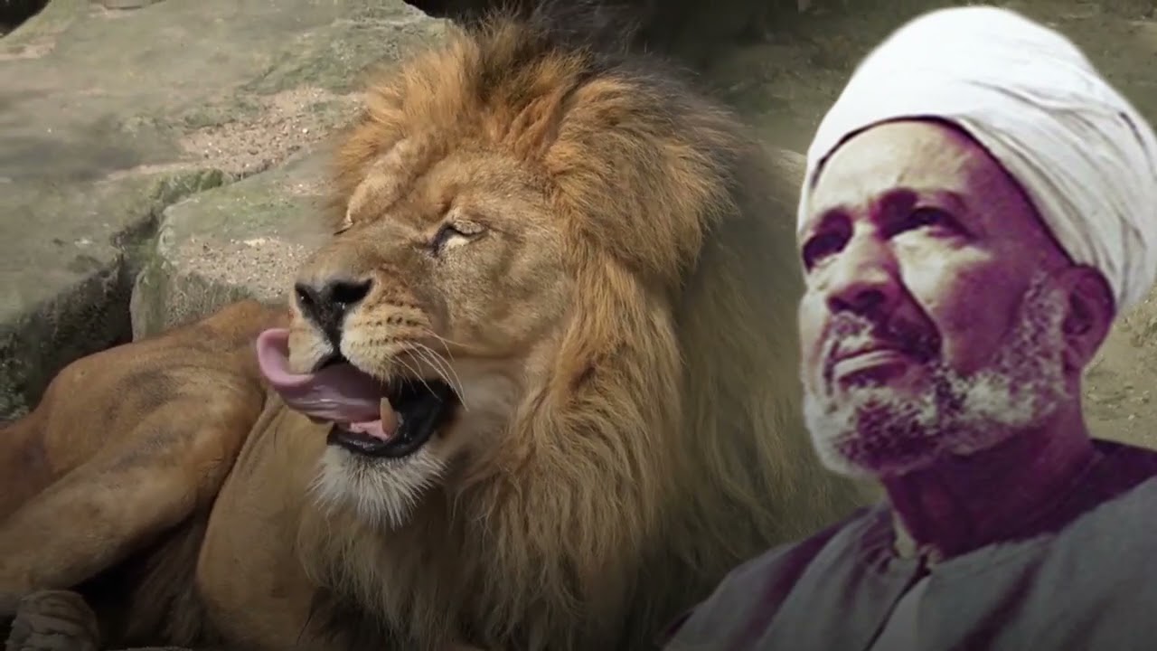 ومن تكن برسول اللهِ نصرتُه شرح سيدي الشيخ صالح الجعفري في درس الجمعة بالأزهر الشريف