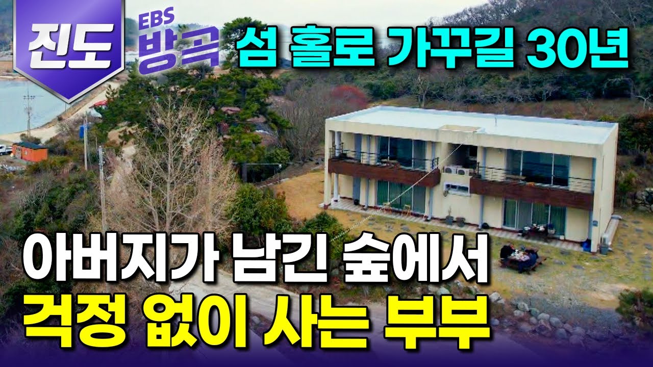 [전남 진도] 