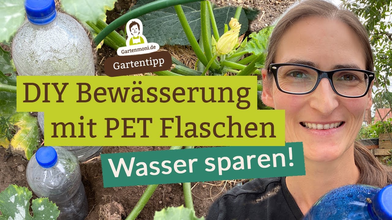 DIY Tropfbewässerung mit PET Flaschen - Ollas selber basteln und Wasser sparen beim Gießen