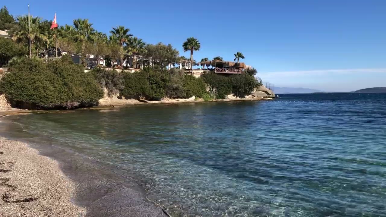 40 Minutes of Calm Ocean Waves | Clear Water & Palm Trees | Ayıbalığı Cove