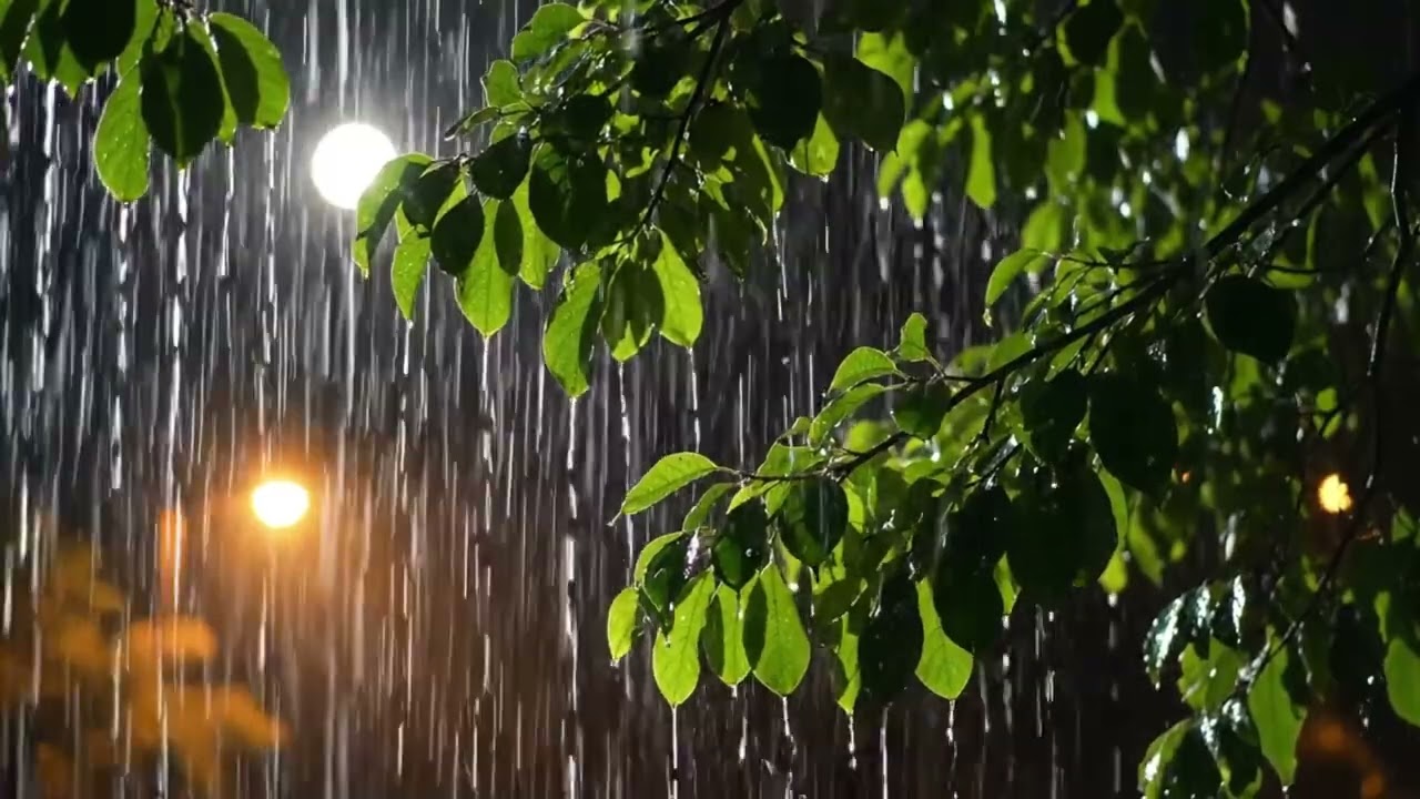 Heavy Rain Sounds for Deep Sleep 🌧️ Relaxing Rain and Thunderstorm
