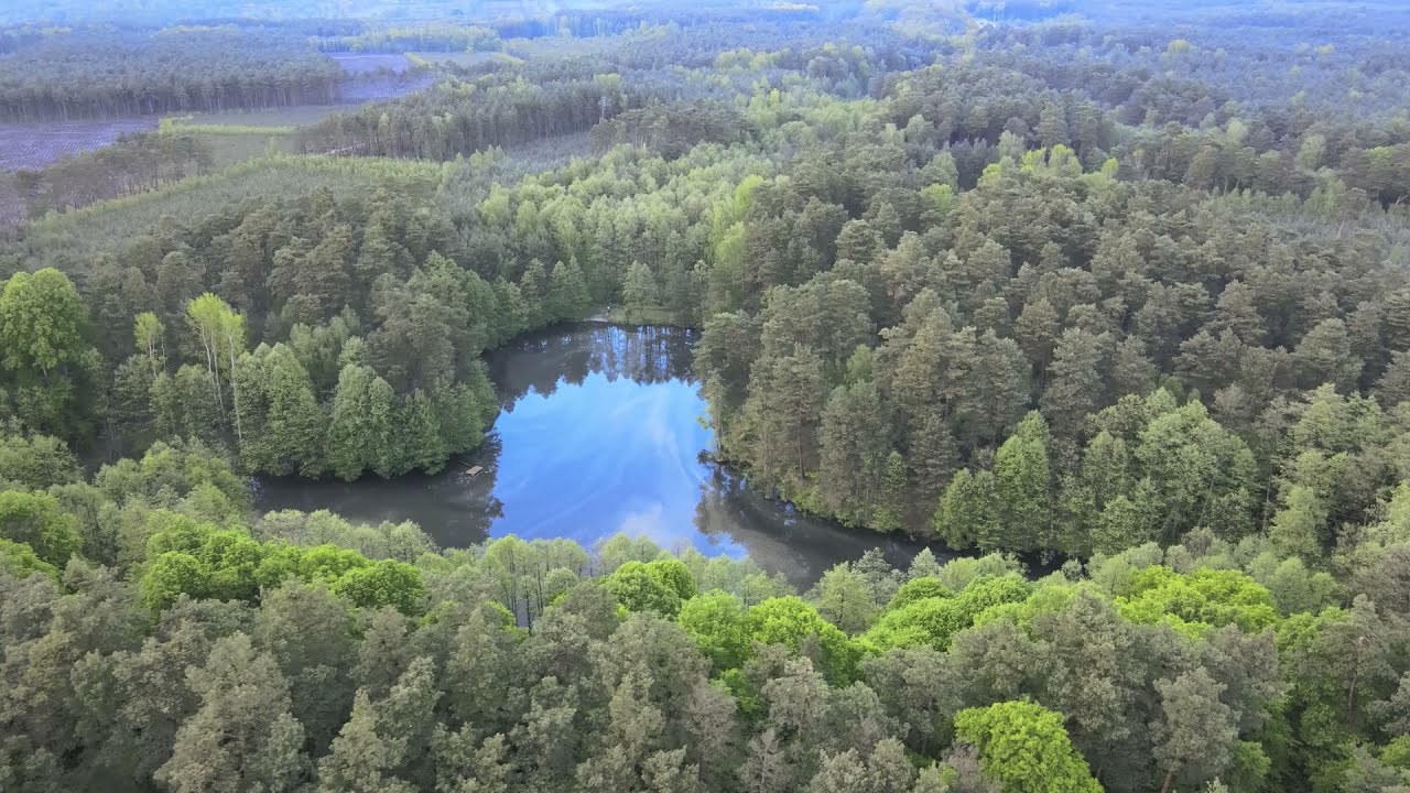 Puszcza Bydgoska: stawy w Rudach (Źródliska) - wiosna