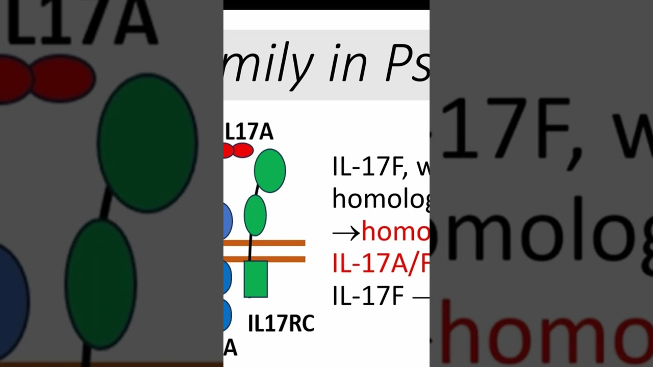 &ldquo;IL-17 Family and Psoriasis: From Cytokine Signaling to Clinical Impact&rdquo; #shorts