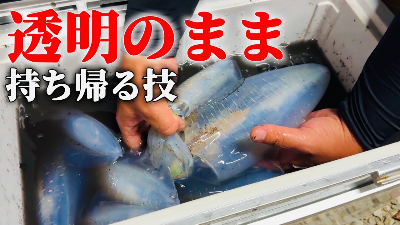 【年末特別配信】イカの持ち帰り方決定版。食べ方がまで100点な外飯が最高。