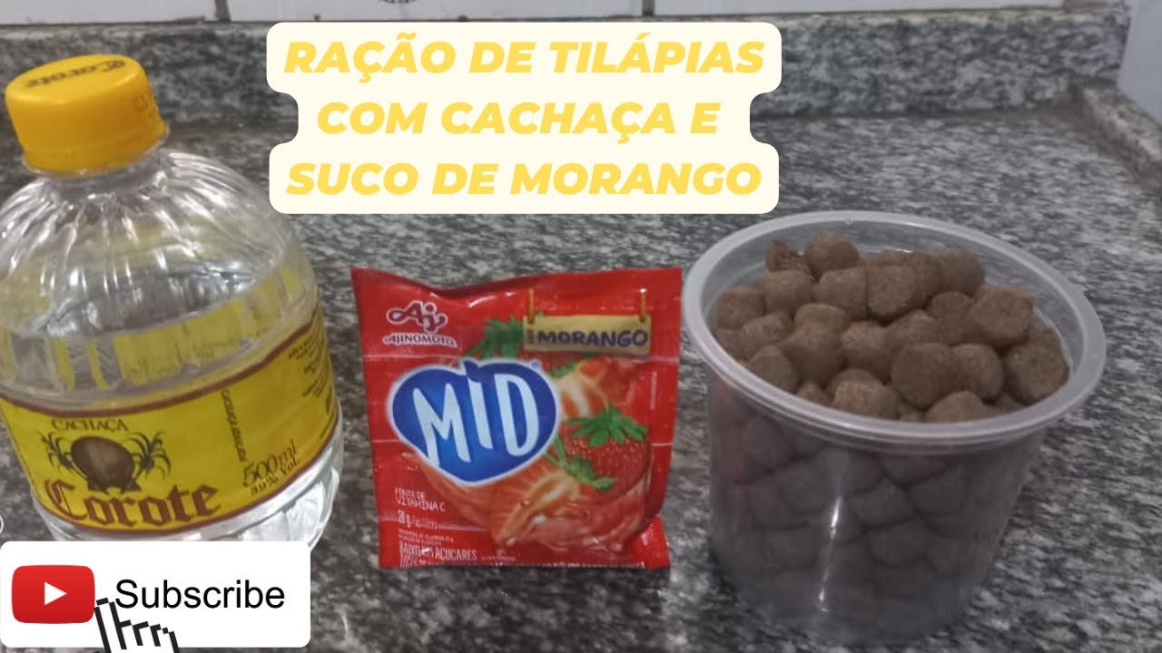 #COMO PREPARAR UMA ISCA PARA TILAPIAS COM RAÇÃO,CACHAÇA E SUCO DE MORANGO#