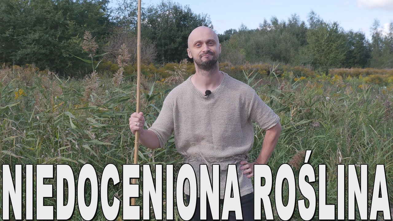 Niedoceniona roślina – historia konopi. Historia Bez Cenzury