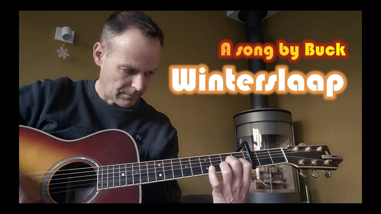 Winterslaap - Original Song By Buck #originalsong #singersongwriter #acousticguitar #ducthmusic