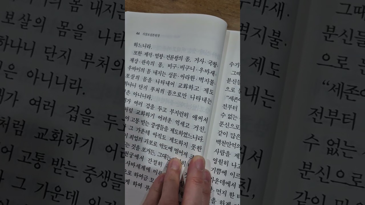 #지장보살본원경 #19독#제2품분신집회품#천일기도