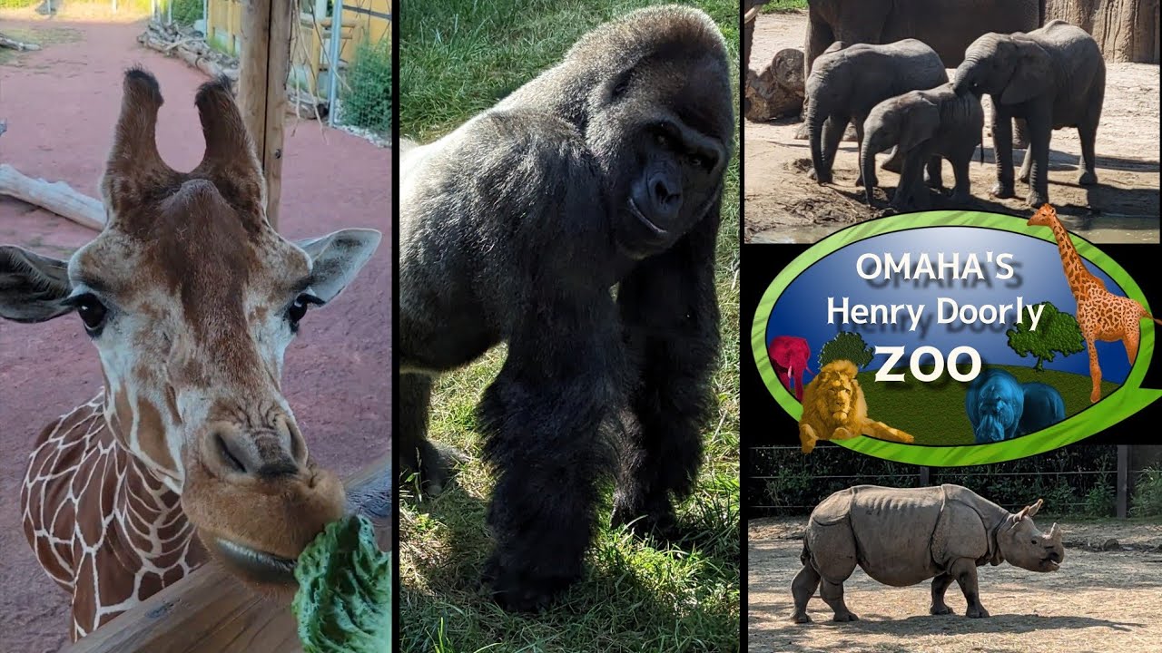 Omaha's Henry Doorly Zoo