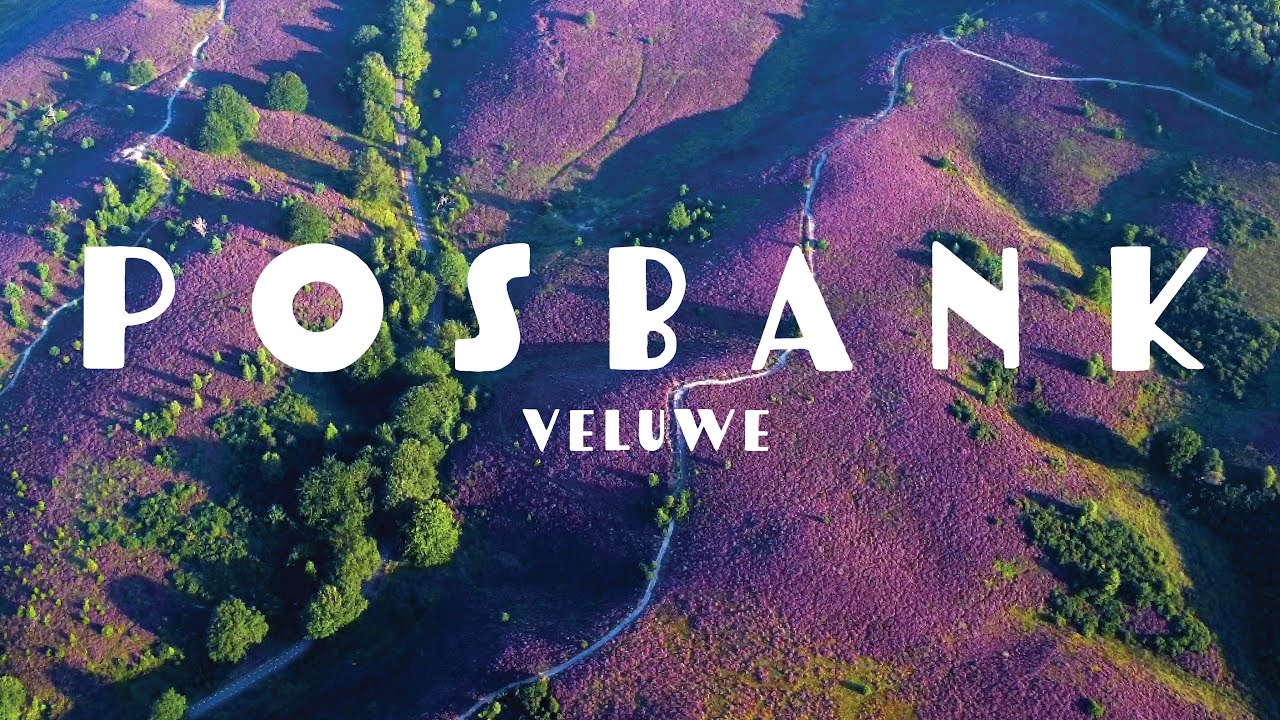 Posbank | Veluwe in Bloei