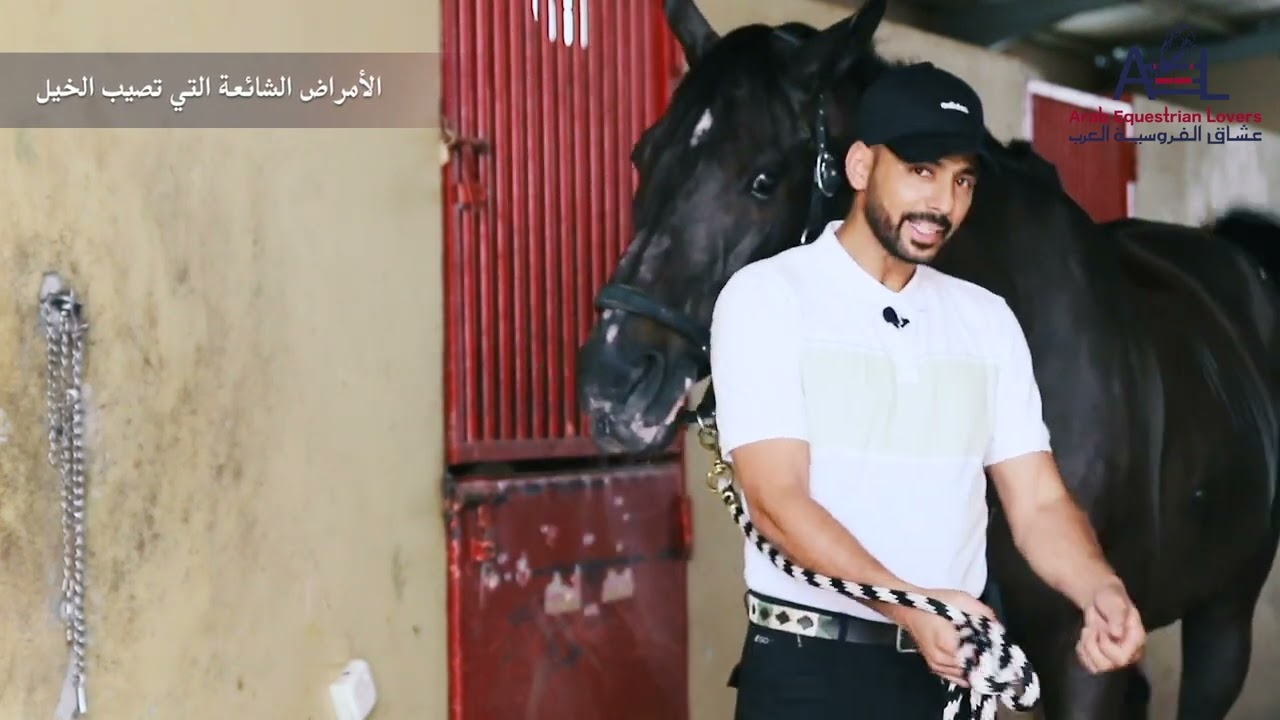 الأمراض الشائعة التي تصيب الخيل (المغص ، الإنتفاخ ،  حصر البول ..... الخ)