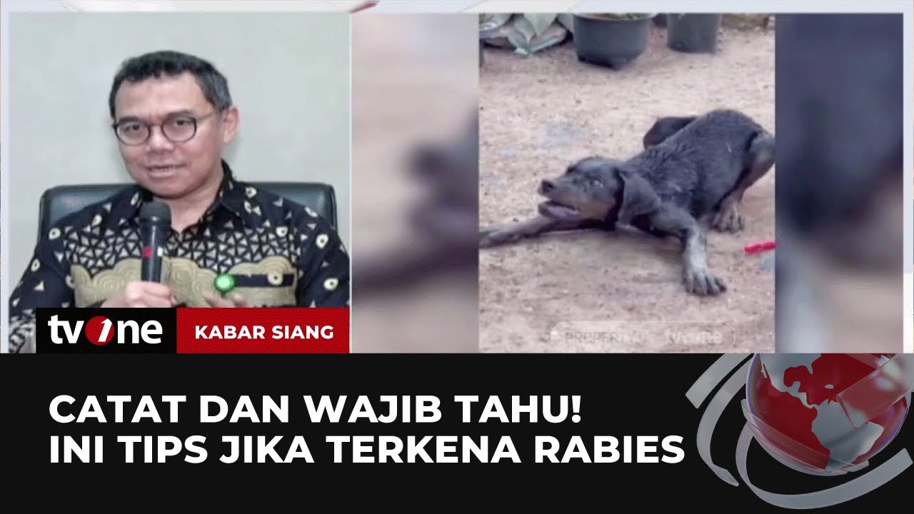 Pihak Kemenkes Berikan Tips Terkait Virus Rabies, Jangan Dibawa ke Faskes! | Kabar Siang tvOne