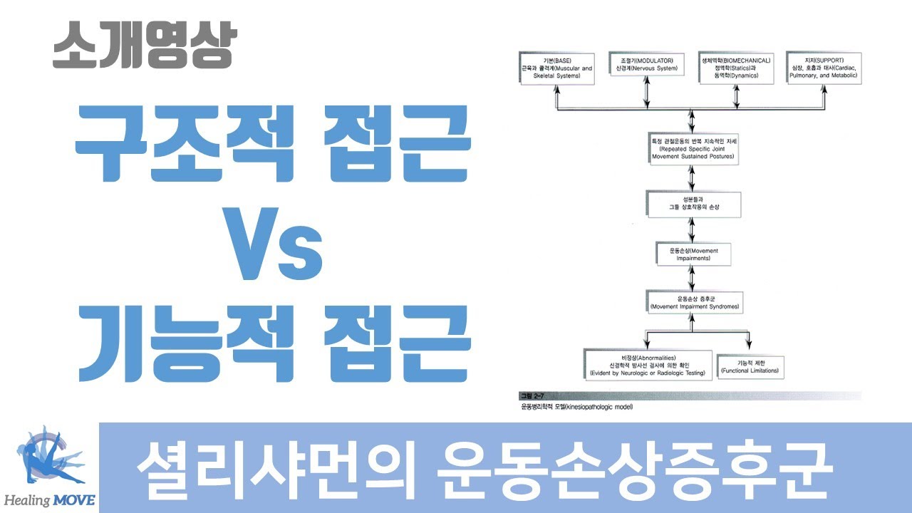 운동강사가 꼭 알아야할 개념 - 3가지 운동학적 모델에 대해서 / 운동손상증후군