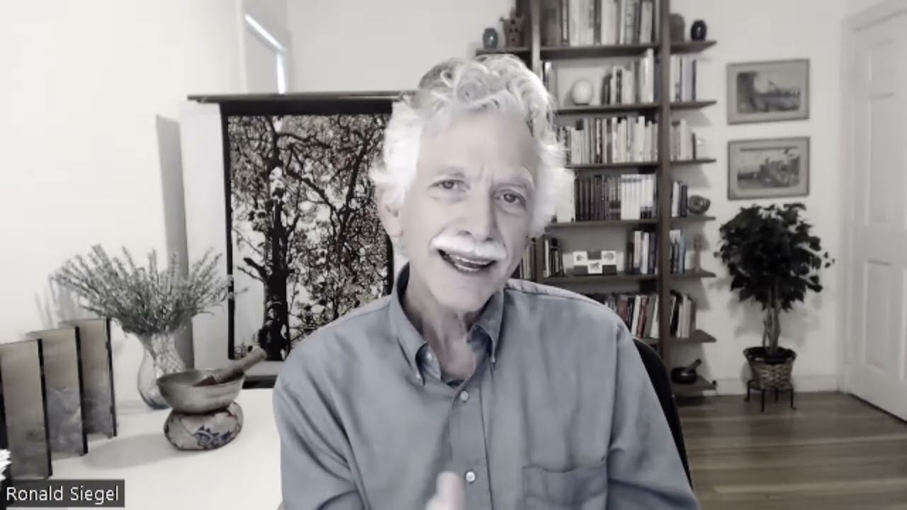 Ronald Siegel | El extraordinario don de ser Ordinario