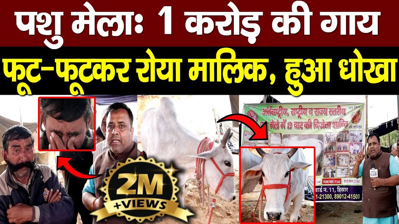 पशु मेला: 1 करोड़ की गाय! क्यों फूट-फूटकर रोया मालिक? देखिए |