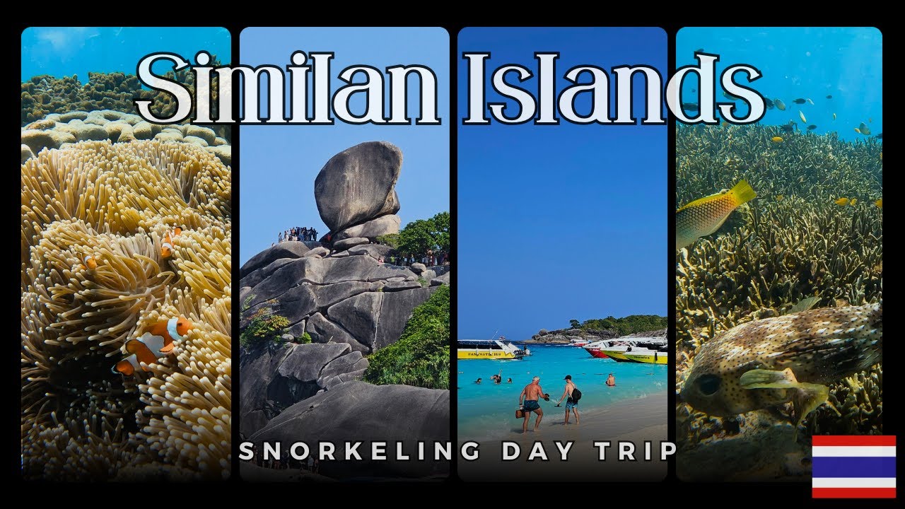 Thailand Similan Islands Snorkeling