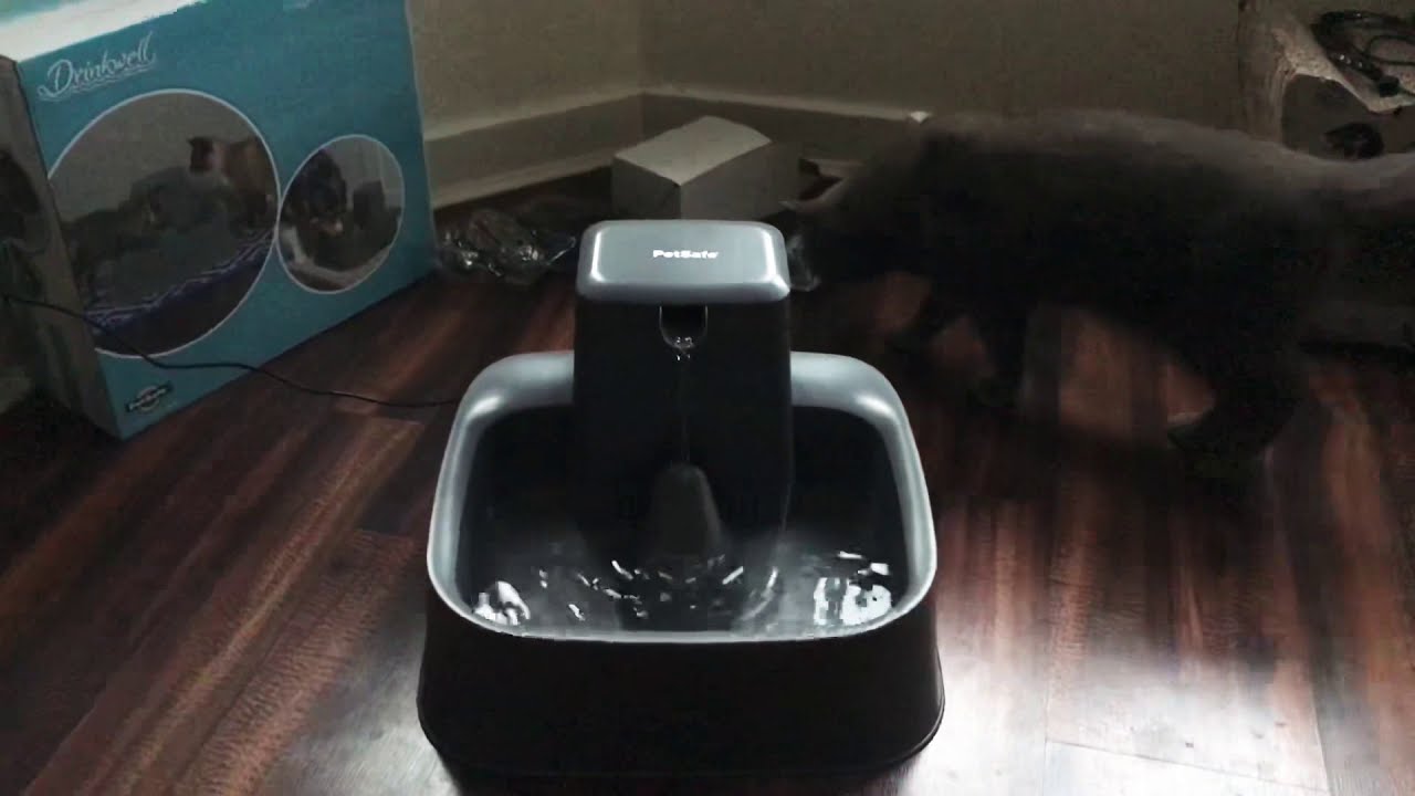 PetSafe Drinkwell 7.5L Pet Fountain Review