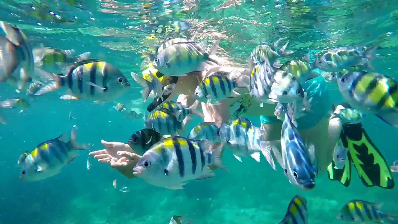 WELCOME TO VILLA 360 PHI PHI ISLAND