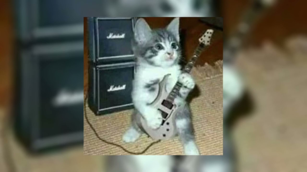 lovers rock - tv girl (sped up)