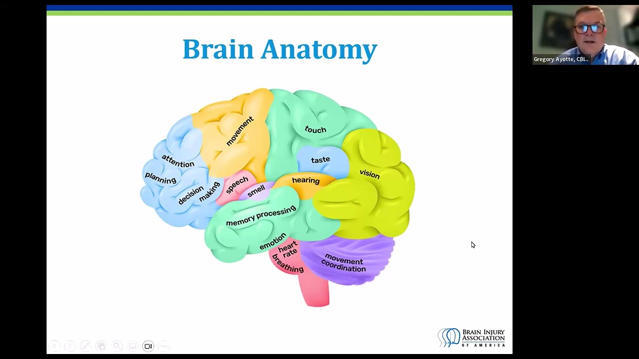 The Impact of Brain Injury