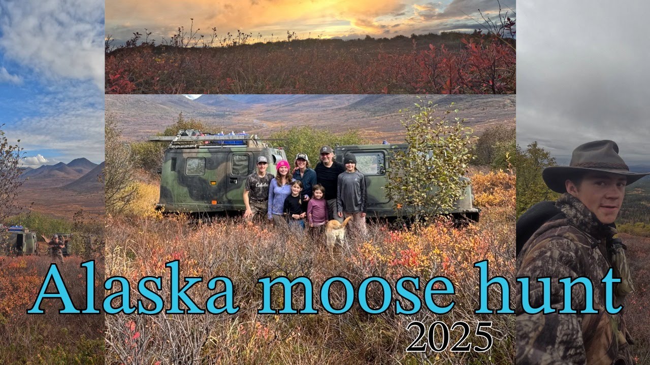 Alaskan Family of 7 Moose Hunt  #Alaskanhunting #hagglundhunting #moosehunting