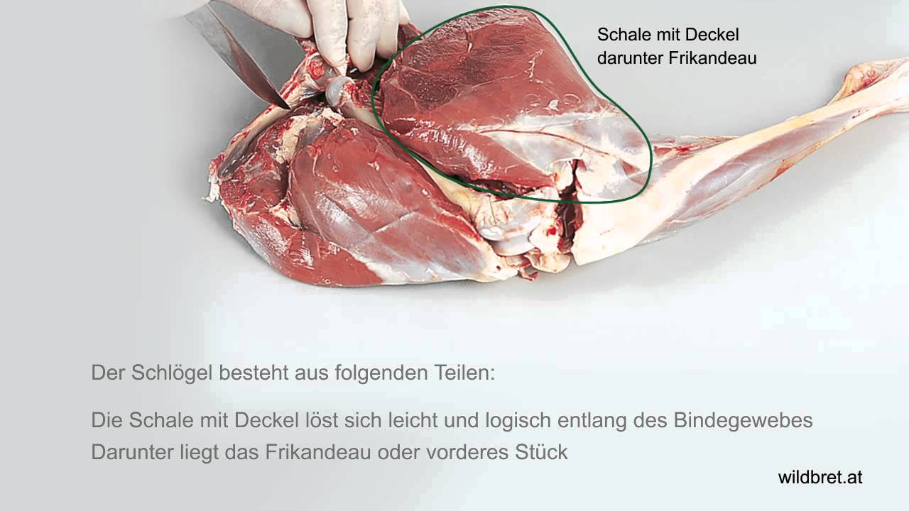Zerwirken Rehwild: Ausl&ouml;sen des Rehschl&ouml;gels