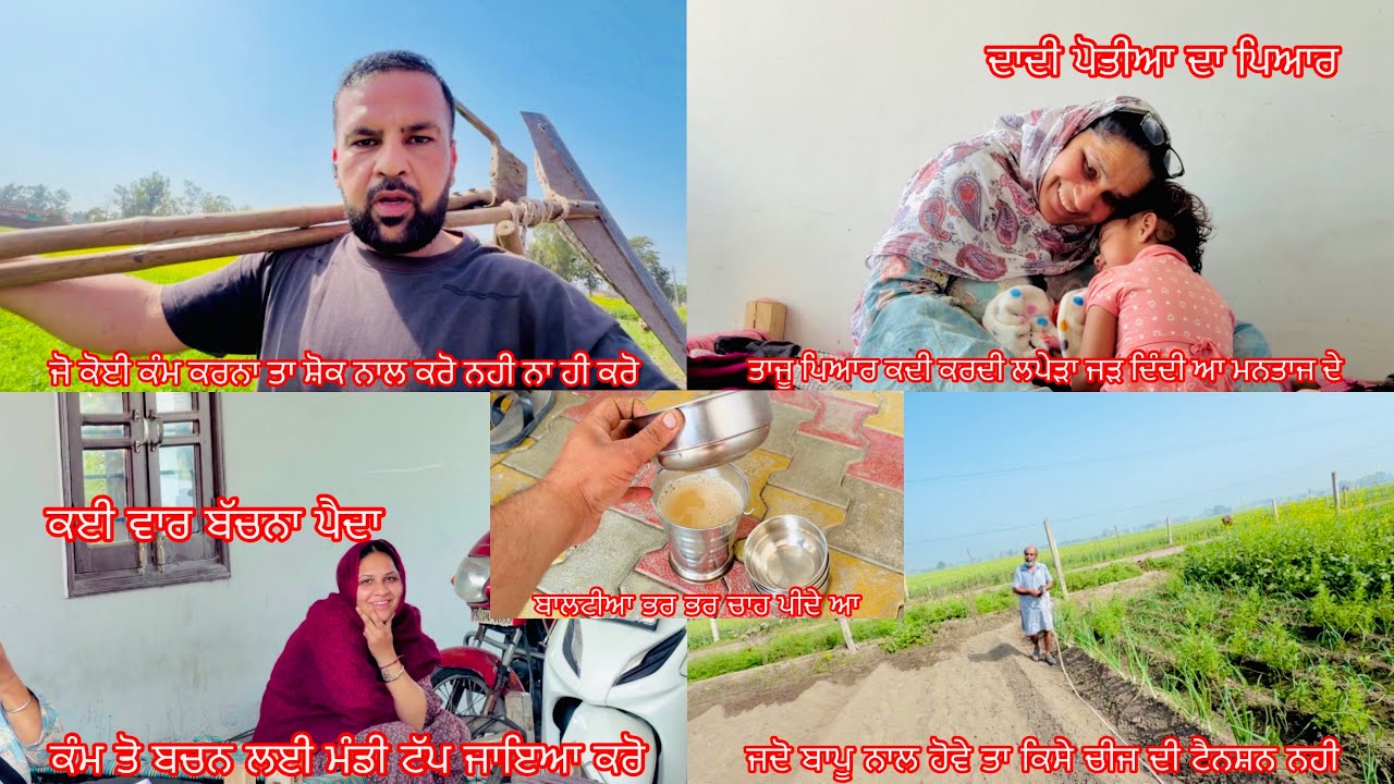 ॥Mantaj nu ta nanke ja k hi saah aaoga🙄 Taju ni tikan dindi isnu॥bapu hundea koi tenshan nhi🥰॥