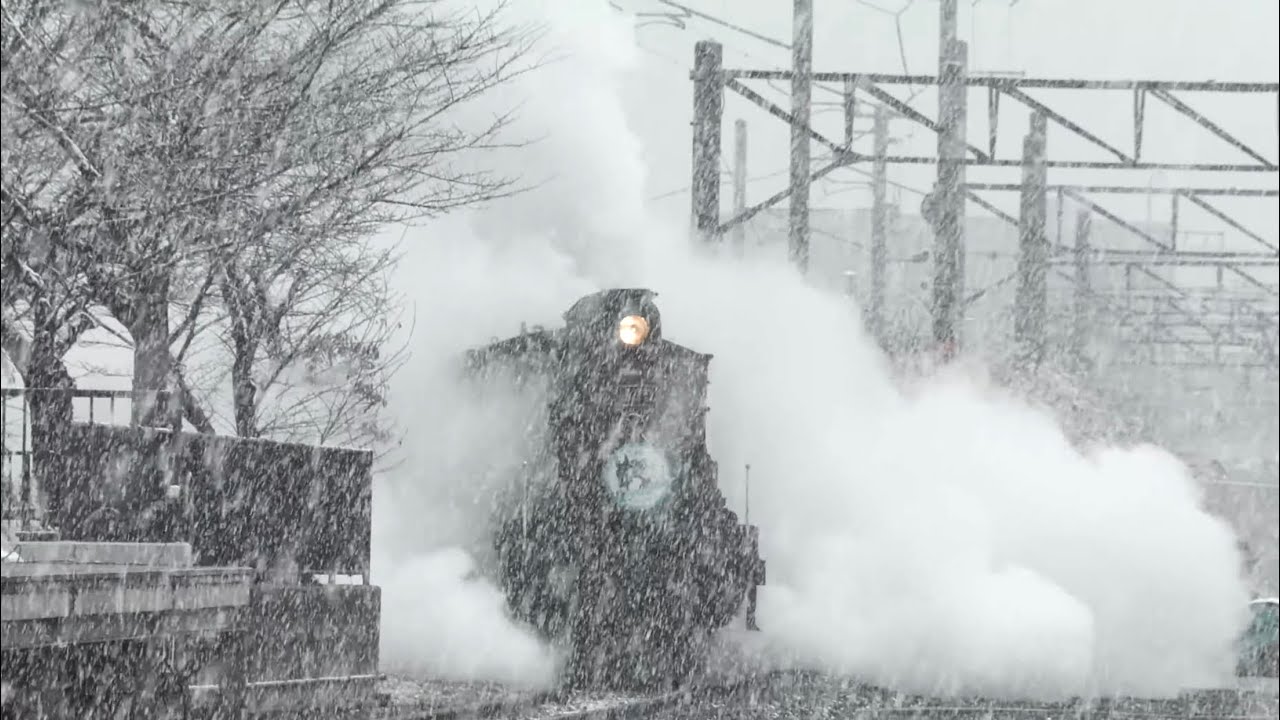SLスチーム号　今冬２度目の雪！雪降る梅小路に映えるハチロク　2025.02.24