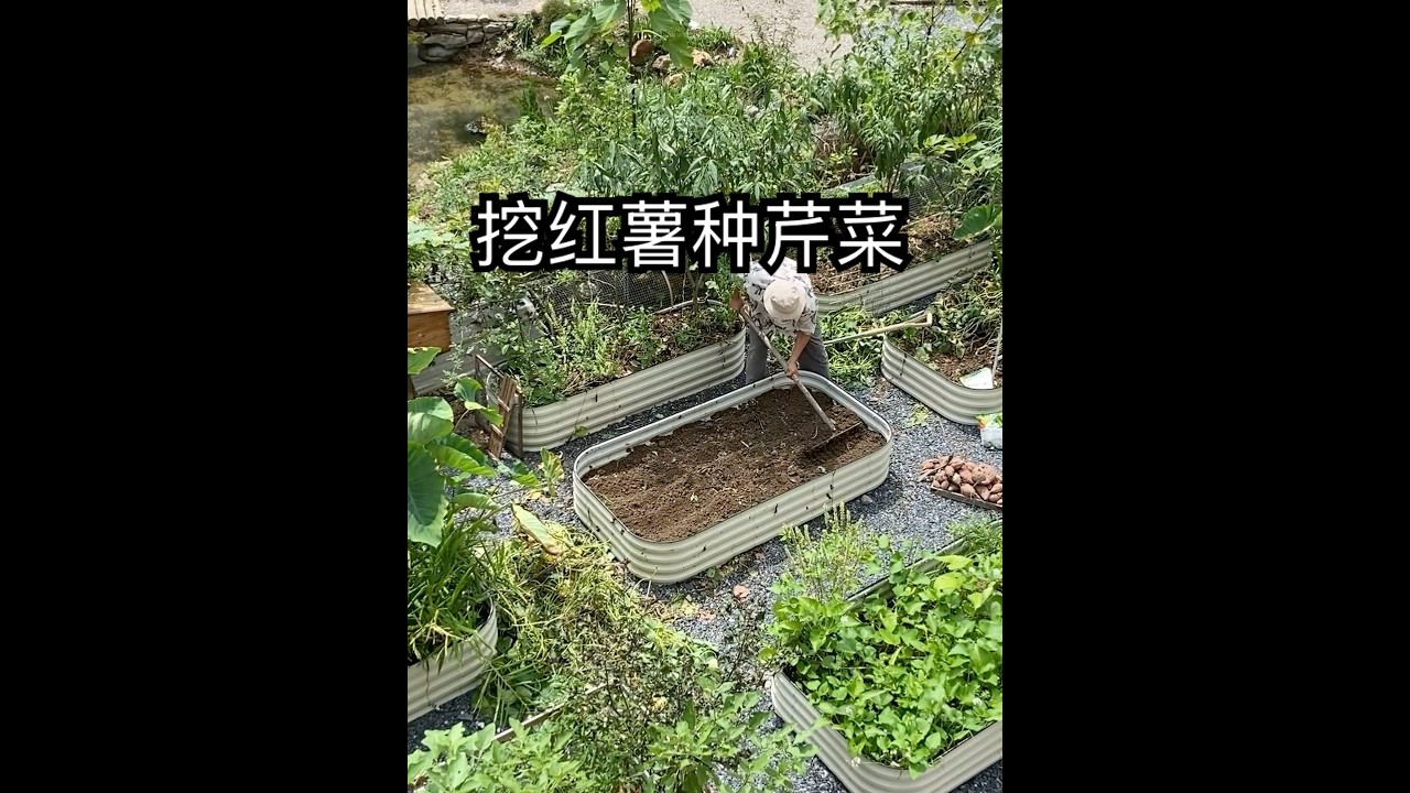 厚土种植法，挺行的