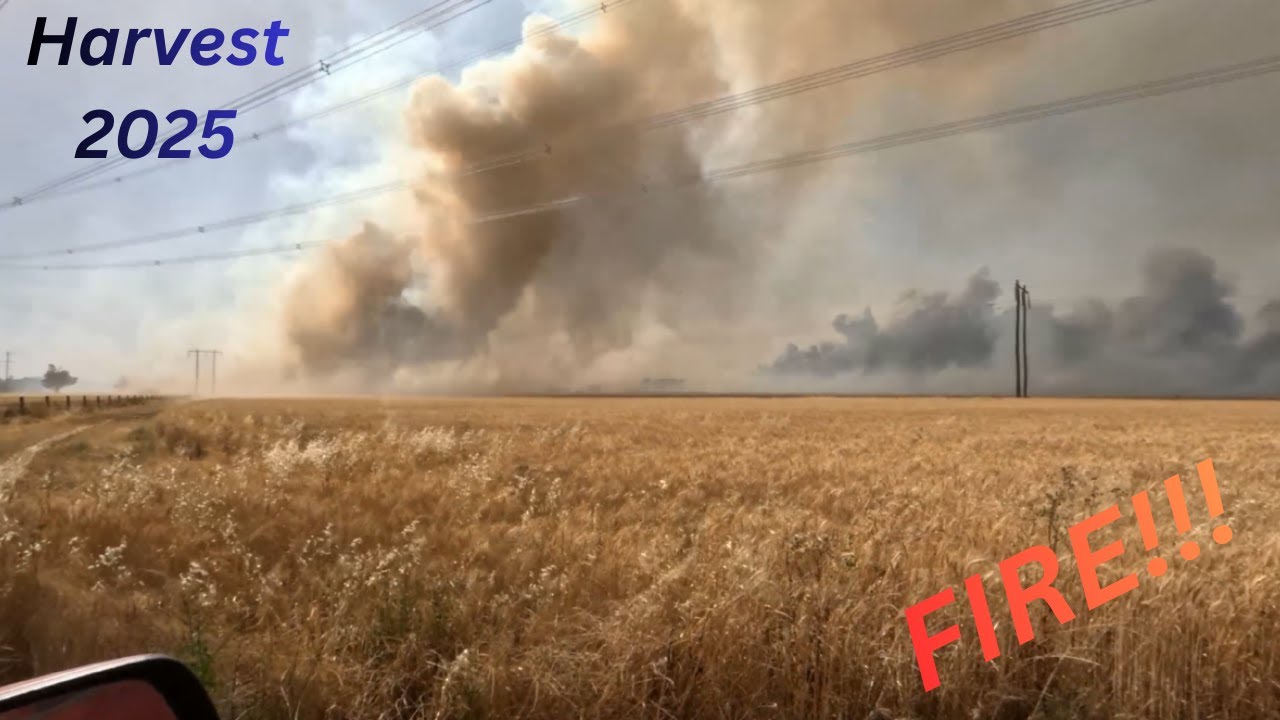 Урожай 2025 года. ПОЖАР за ПОЖАРОМ... Фермерство в Австралии.