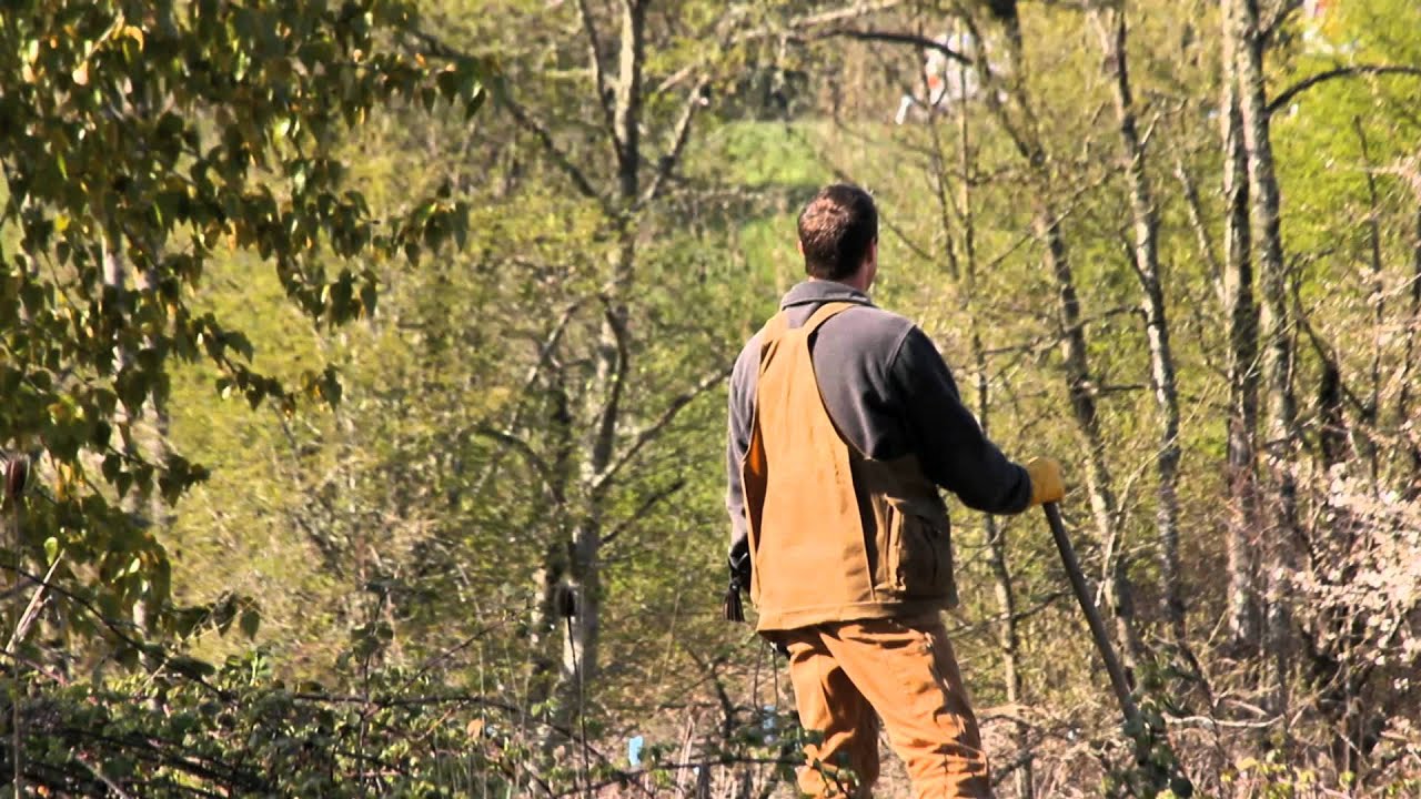 The Wild Art of Falconry (2011)
