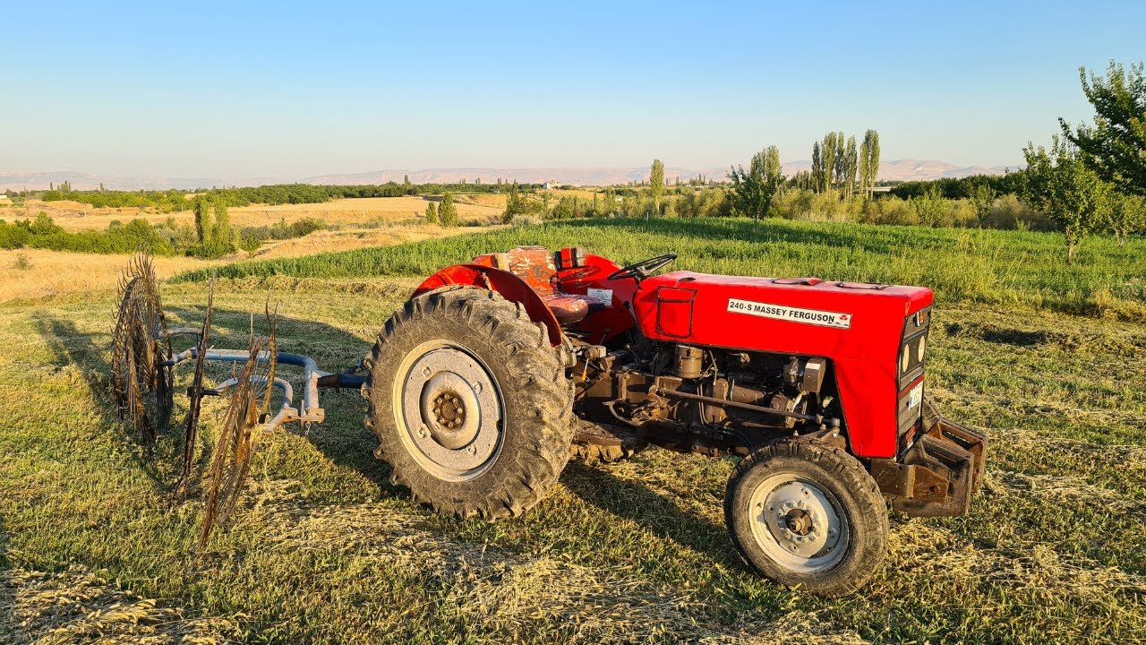 YONCA TIRMIKLAMA | Massey Ferguson 240 S | Sabahın İlk Işıkları |
