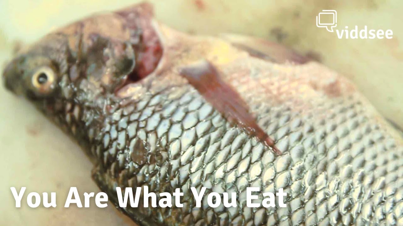 You Are What You Eat - Hati-Hati Sama Karma!! // Viddsee Picks
